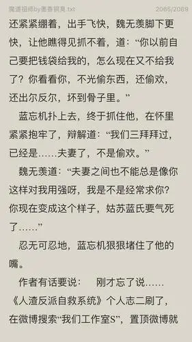 林疏度的相册-魔道祖师 忘羡part