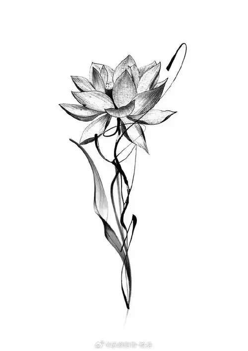 精美莲花手稿分享#纹身手稿#纹身手稿超话#赤峰纹身哪里好