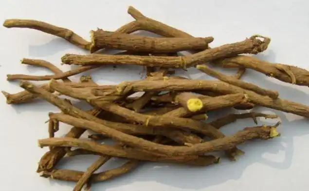 黄苓的功效与作用及禁忌