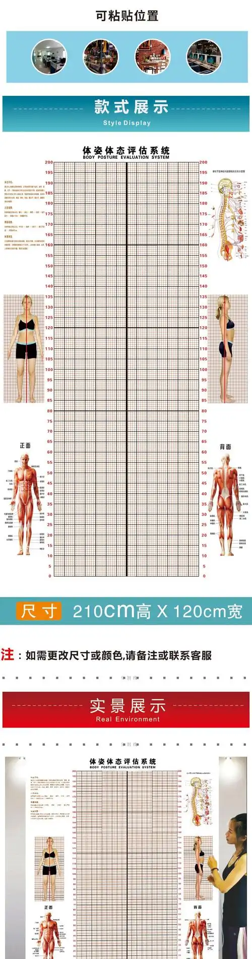 体态评估网格图体态评估表墙贴健身房体测网格纸瑜伽馆私教姿势体位