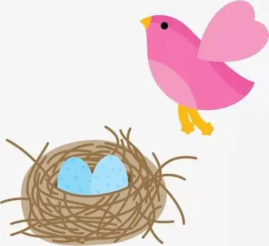 【微课程】可爱的鸟巢