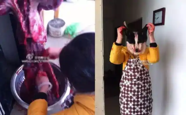 魏某某3月2日上午在陌陌上发布的剥狗皮照片以及微博网友@兜率仔仔