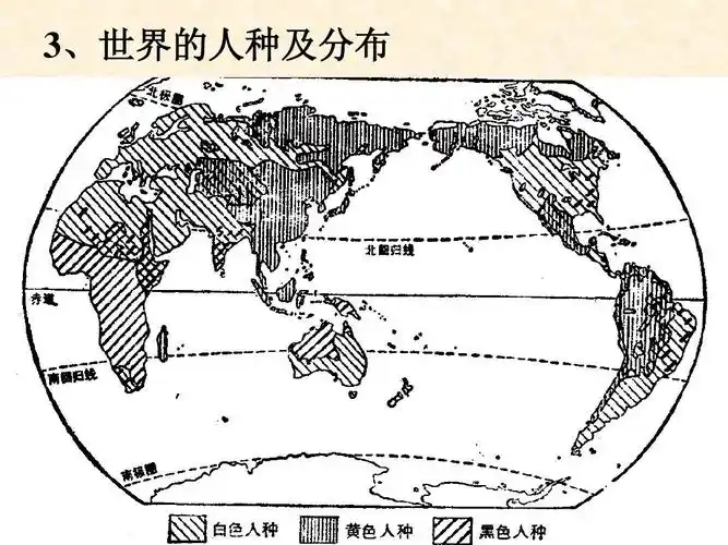 3,世界的人种及分布
