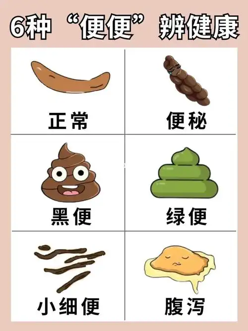 6种便便看健康教你一招快速拉排宿便