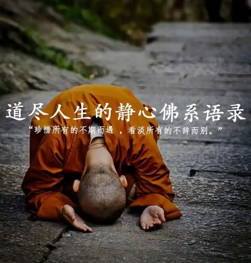 道尽人生的静心佛系语录