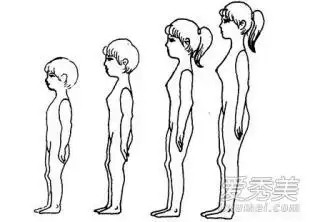 第二性征更明显