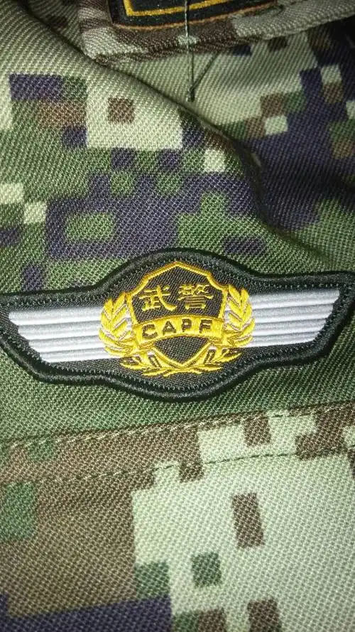 武警的软胸标都什么意思为什么有的写着辽宁 有的是黄金 水电 还有写