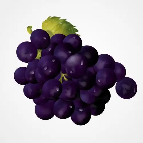 紫葡萄矢量图形