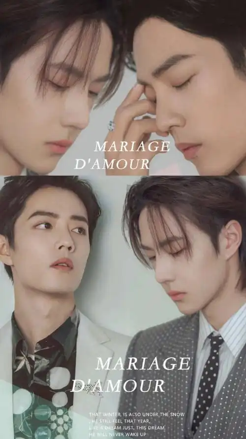 博君一肖壁纸合集