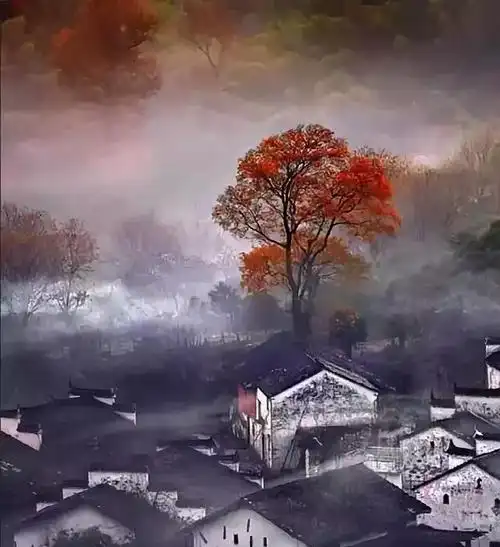 有一种风景叫中国古典美|留白|意境|一花一草_新浪新闻