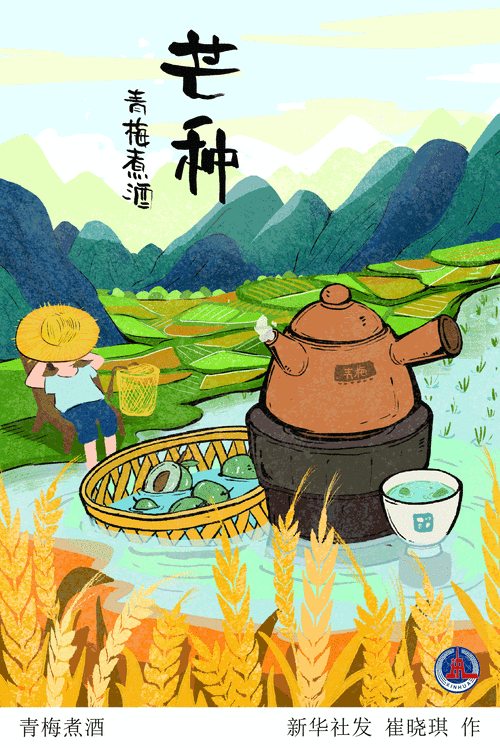动图插画|芒种悄然至,人生丰收时