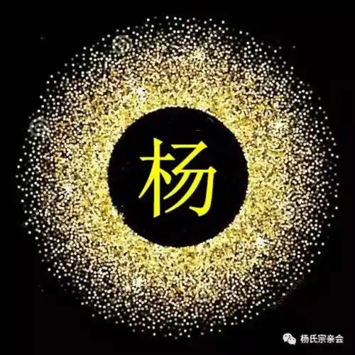 杨氏家族之姓氏起源