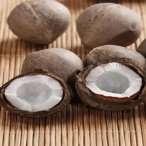 海底椰新鲜迷你海椰皇小椰子广东煲汤汤料非非洲干货炖汤非去壳