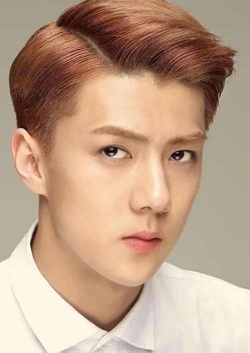 吴世勋##吴世勋颜值天才#@wu世勋-exo证件照男友 这五官还有谁