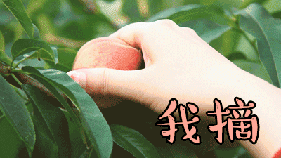 400_225gif 动态图 动图