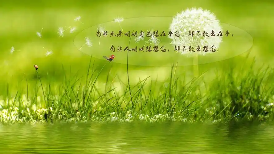 对生活无奈很现实的说说图片