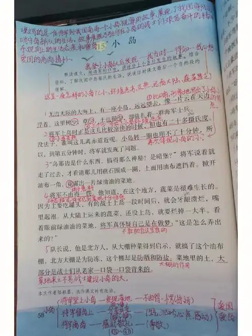 五年级上册语文第15课《小岛》课堂笔记