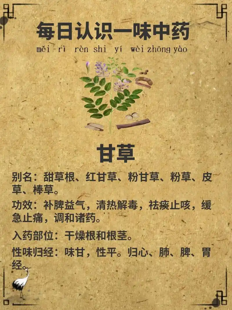 【甘草】每日认识一味中药.别名:甜草根,红甘草,粉甘草,粉草 - 抖音