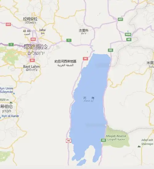 死海位置图片来源世界地图截图 死海深深陷入亚洲大陆的西部,跟我们
