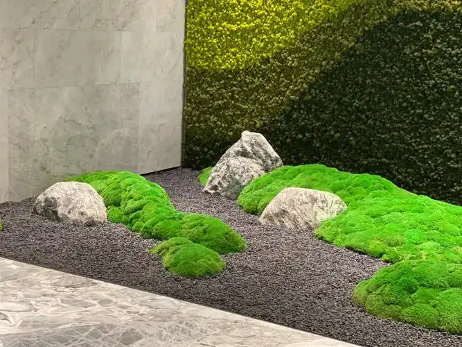 苔藓景观造景