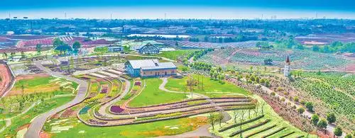 青白江区福洪镇的"我的田园"项目已初具雏形