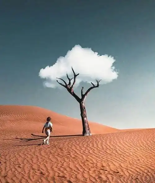 有品味的人生感悟句子精辟有内涵深度好文