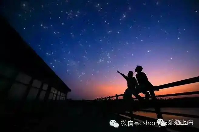 沪上最美观星地 一起去看流星雨!(组图)