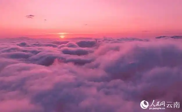 新年云南大围山粉色云海美如画