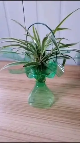 变废为宝,雪碧瓶子不要扔,做个花篮养花美美哒.