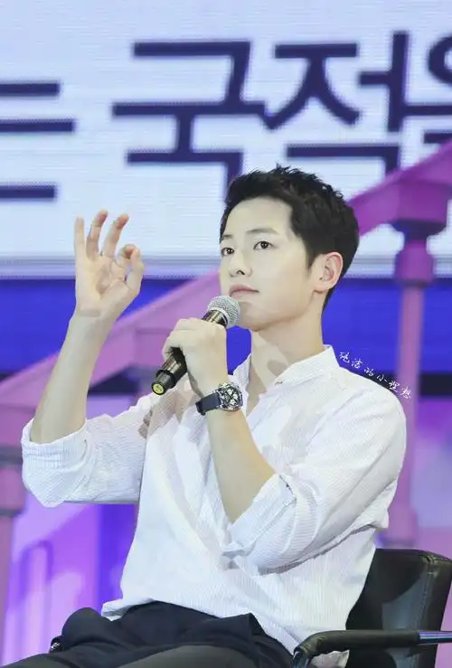 宋仲基 太阳的后裔