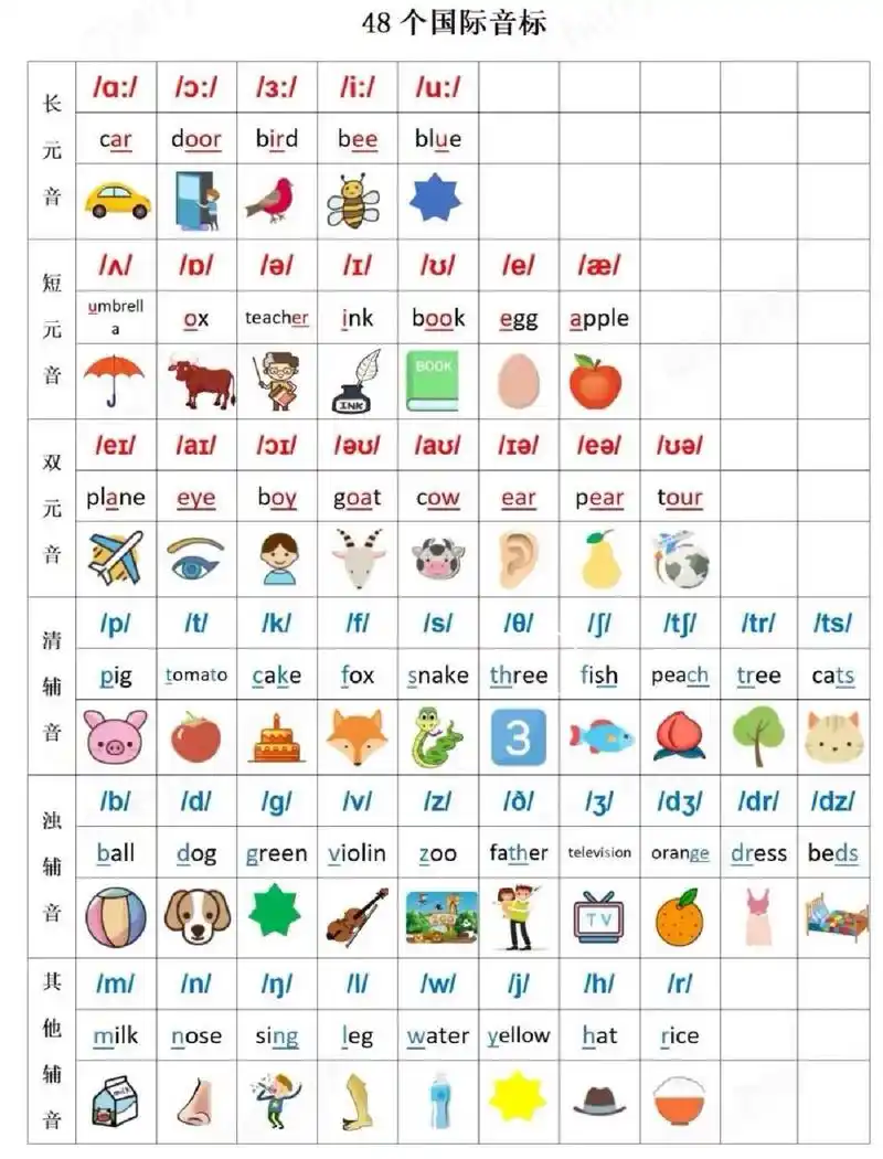 【48个音标谐音记忆】 78 音标一共有48个:元音音标20个,辅音音标28