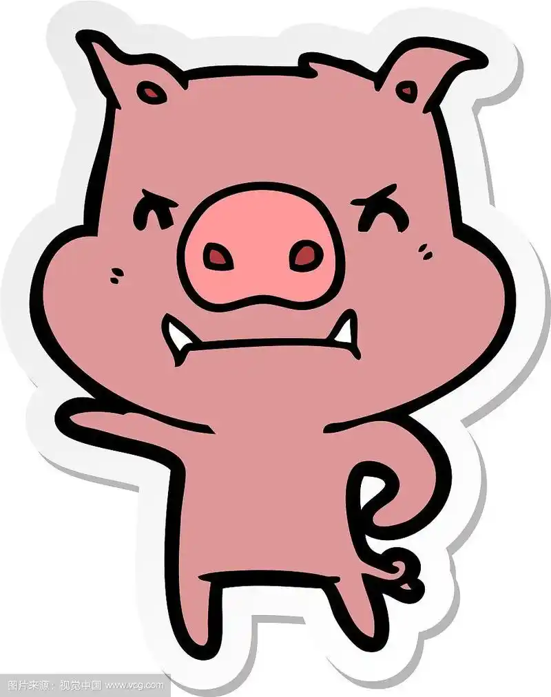 愤怒的卡通猪贴纸