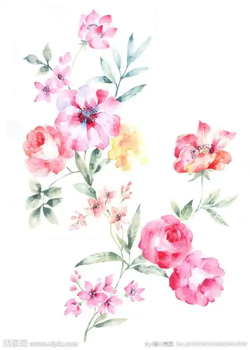 手绘花卉设计图__绘画书法_文化艺术_设计图库_昵图网nipic.com