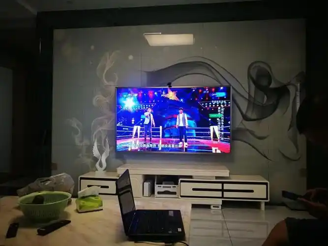 八月——在家看电视