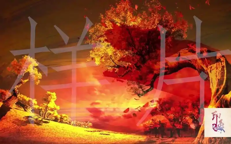 少儿舞蹈《少年志》背景视频