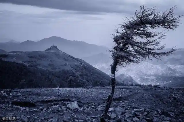 一场大风刮来的祸事