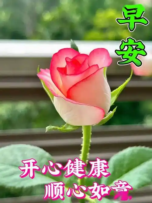 最新早上好漂亮祝福图片,早上好温馨问候语_天都_亲爱的朋友_生命