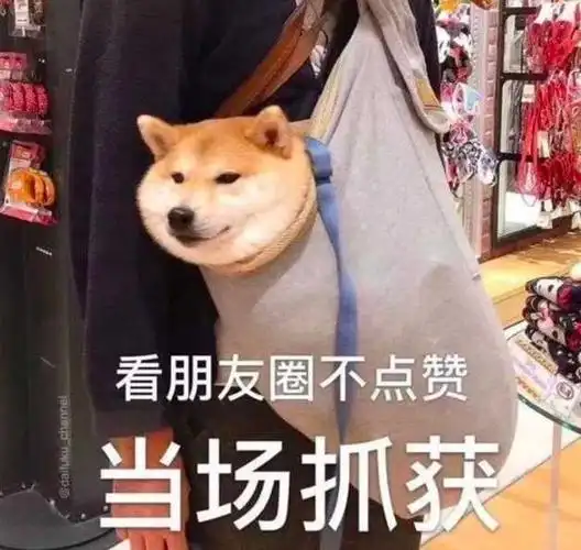 微信搞笑背景图大全