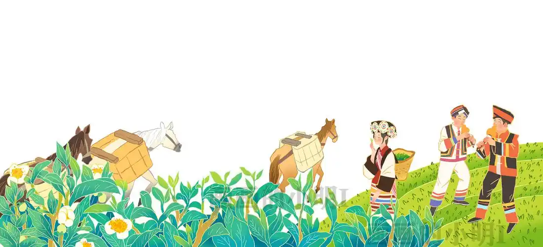 云南老马帮——"马上有茶"包装插画|插画|商业插画|画画的小明i_原创