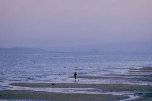 [20778] 一个人看海