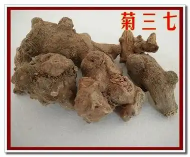 菊三七的功效与作用,中药菊叶三七图片-中医百科