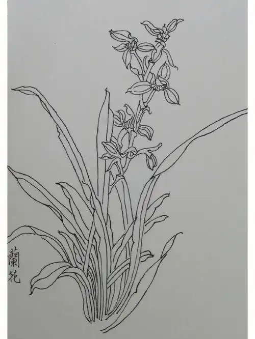 白描  #控笔  #篆书