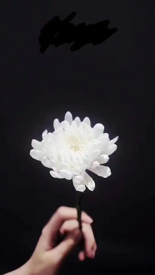 手工制做的小白花献给你们!