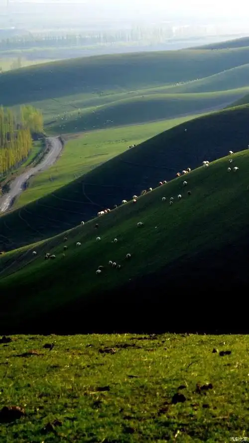 美丽的大草原摄影欣赏