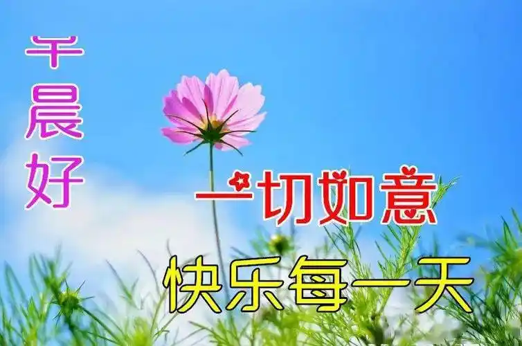 5,流年来去,人生旅途不可能一帆风顺,既然人生给我们诸多考验,那我们