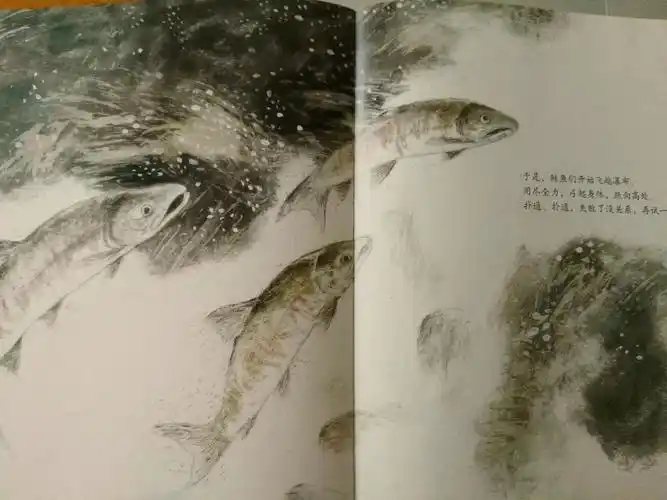 绘本讲师训练营22期721阅读原创鲑鱼向前冲