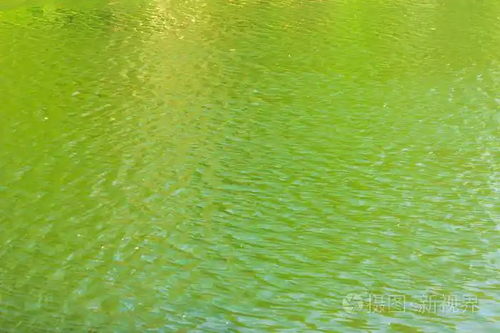 湖泊水面上的绿色涟漪照片-正版商用图片0fsnns-摄图新视界
