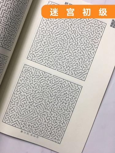 迷宫纸制儿童益智思维游戏书玩具小学生成人高难度冒险专注力耐力