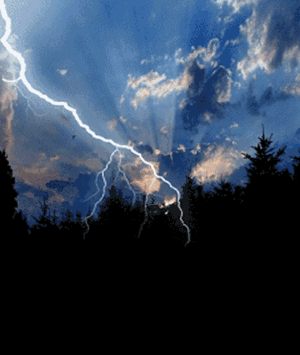 338_400gif 动态图 动图