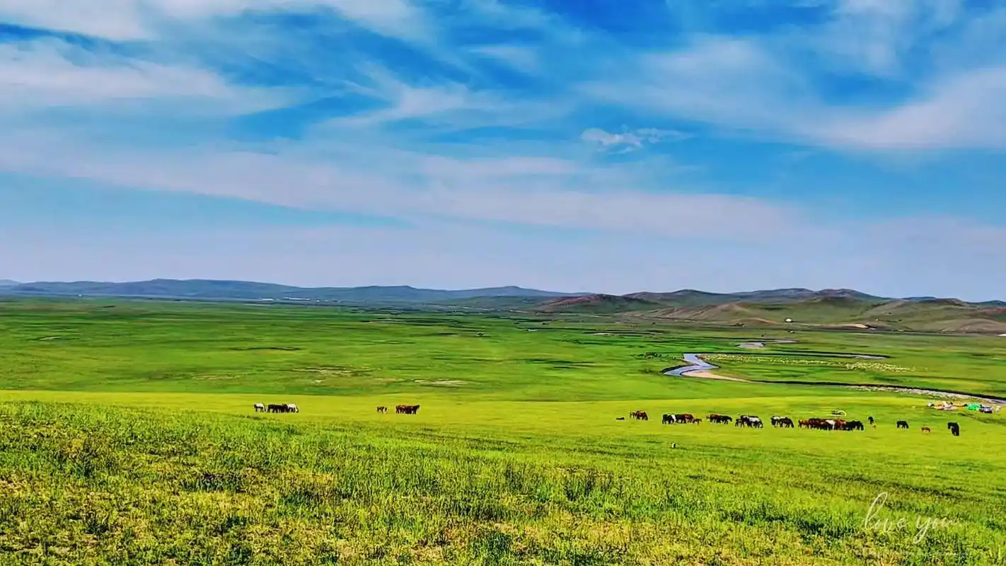 98莫日格勒河,一条蜿蜒于呼伦贝尔草原的蓝色绸带,它的美,不仅仅是
